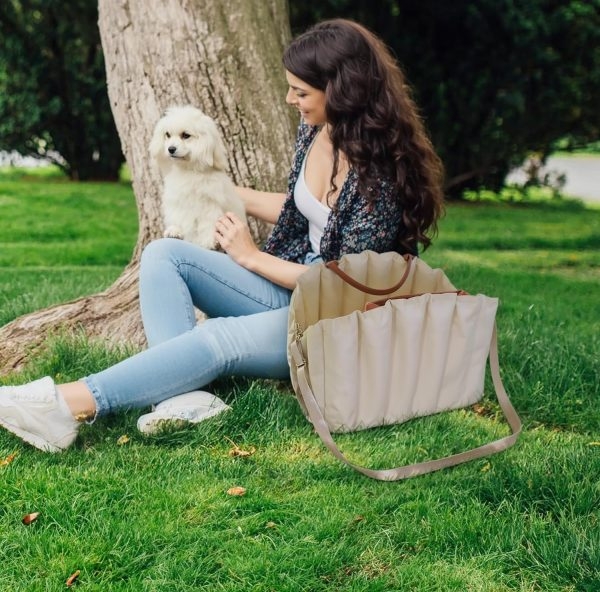 Dog Car Seat and Pet Carrier for Small and Medium Dogs - Image 4