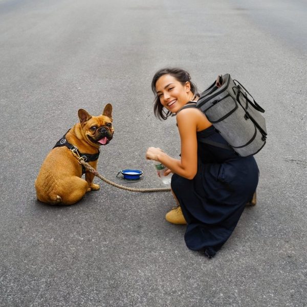 Dog Travel Bag Backpack with Dog Food Storage Container - Image 12